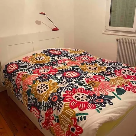 Lumineux Vue Montagne Centre Pour Ou Randonnees Grenoble